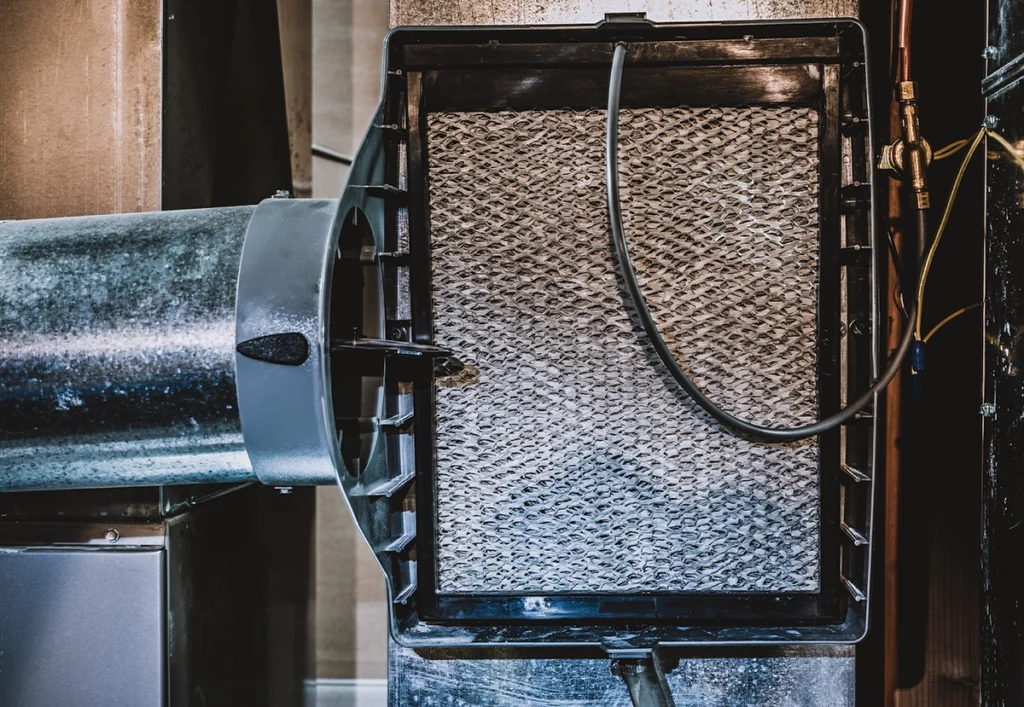 Humidifier vs Air Purifier: Which Do You Need?